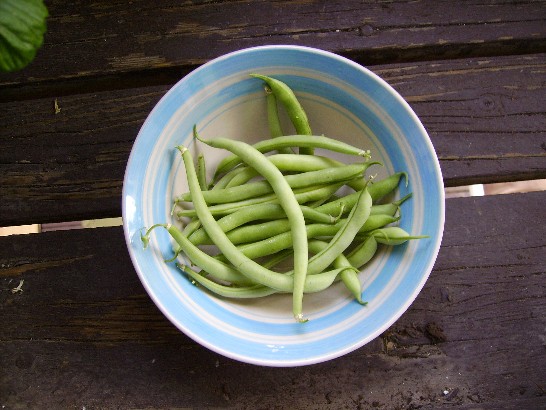 bowl of green beans